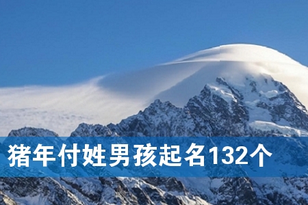 猪年付姓男孩起名132个