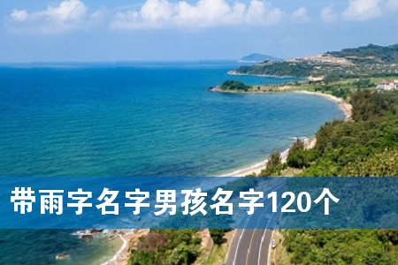 带雨字名字男孩名字120个
