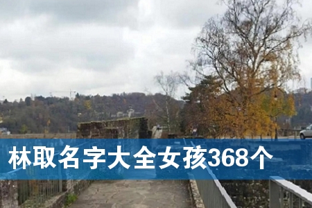 林取名字大全女孩368个