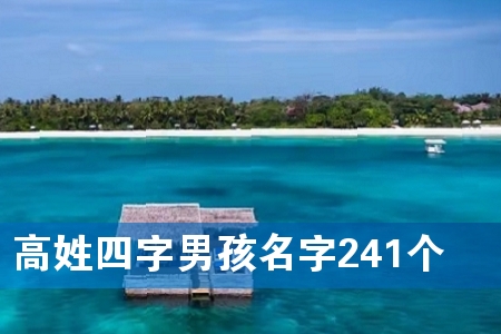 高姓四字男孩名字241个