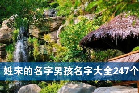 姓宋的名字男孩名字大全247个
