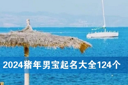 2024猪年男宝起名大全124个