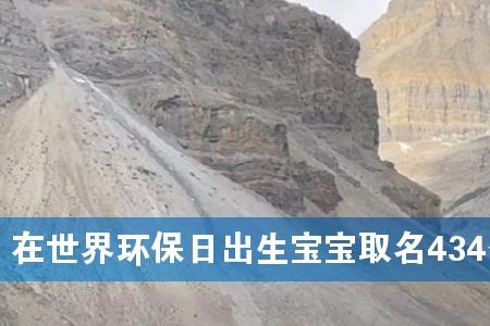 在世界环保日出生宝宝取名434个