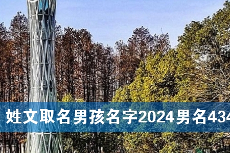 姓文取名男孩名字2024男名434个