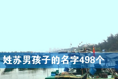 姓苏男孩子的名字498个