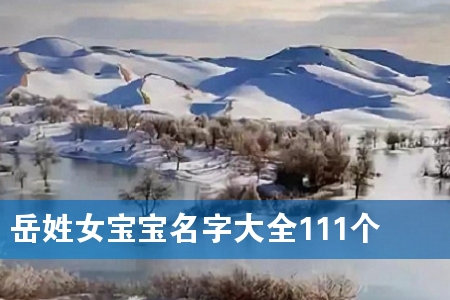 岳姓女宝宝名字大全111个