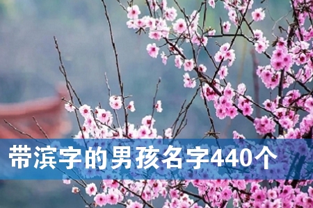 带滨字的男孩名字440个