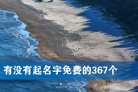有没有起名字免费的367个