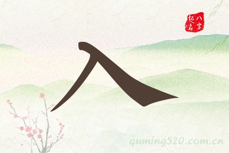 入字五行属什么