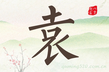 袁字五行属什么