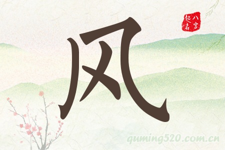 风字五行属什么