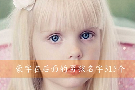 豪字在后面的男孩名字315个