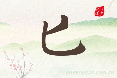 匕字五行属什么