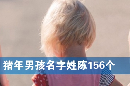 猪年男孩名字姓陈156个