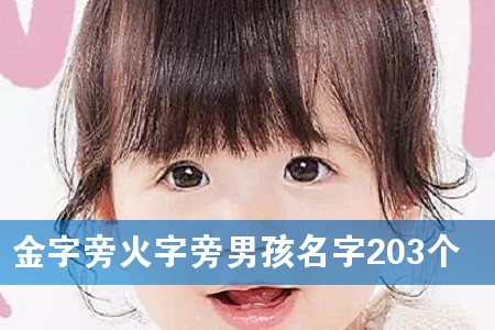 金字旁火字旁男孩名字203个