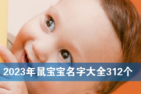 2023年鼠宝宝名字大全312个