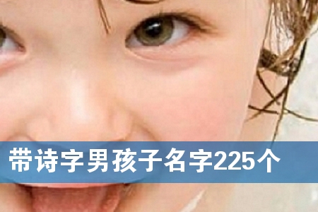 带诗字男孩子名字225个