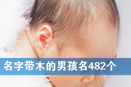 名字带木的男孩名482个