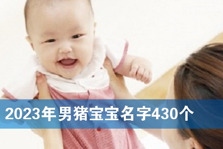 2023年男猪宝宝名字430个