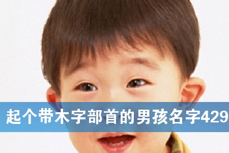 �����ľ�ֲ��׵��к�����429��