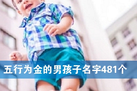 ����Ϊ����к�������481��