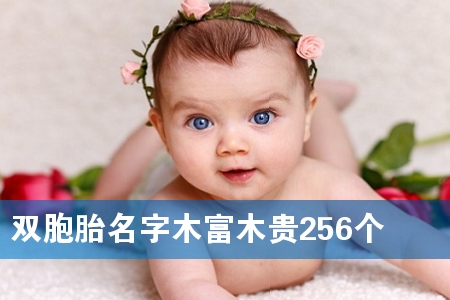 ˫��̥����ľ��ľ��256��