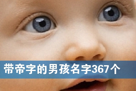 带帝字的男孩名字367个