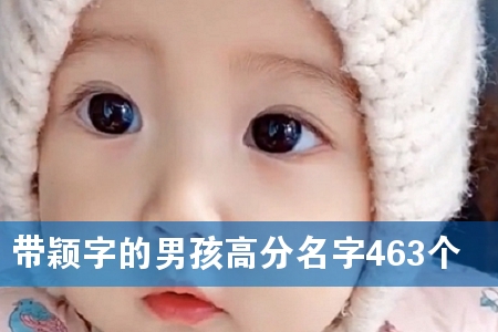 带颖字的男孩高分名字463个
