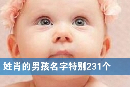 姓肖的男孩名字特别231个