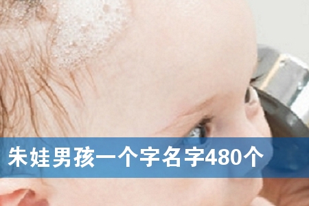 朱娃男孩一个字名字480个