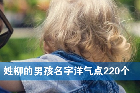 姓柳的男孩名字洋气点220个