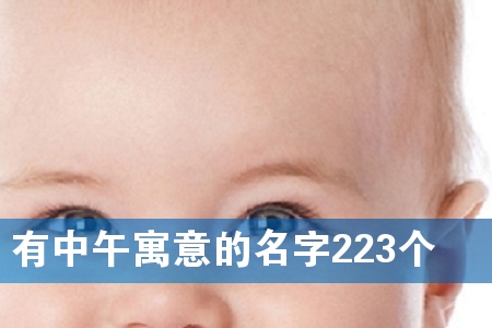 有中午寓意的名字223个