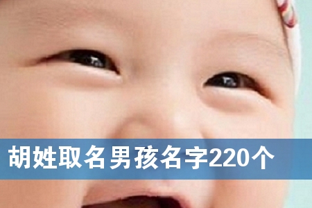 胡姓取名男孩名字220个