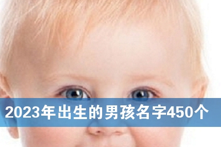 2023年出生的男孩名字450个