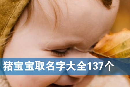 猪宝宝取名字大全137个