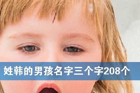 姓韩的男孩名字三个字208个