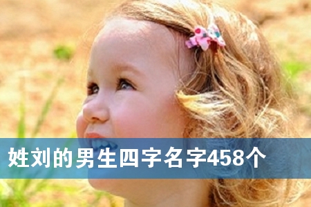 姓刘的男生四字名字458个