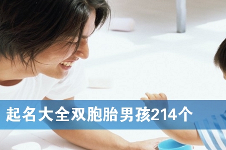 起名大全双胞胎男孩214个
