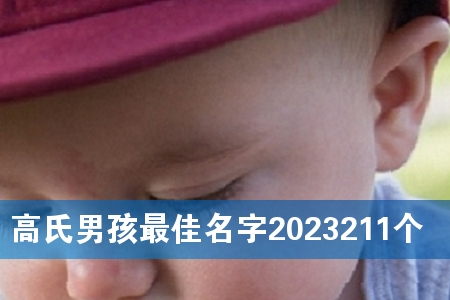 �����к��������2023211��