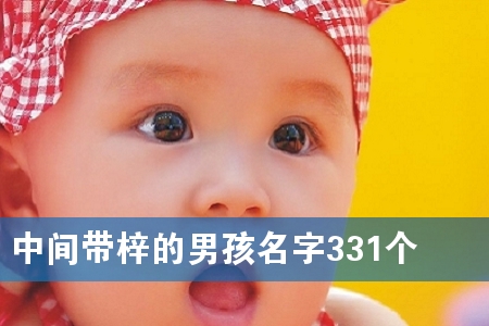 �м�������к�����331��