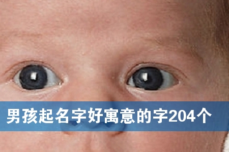 �к������ֺ�Ԣ�����204��