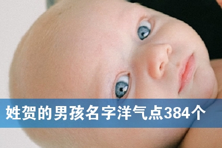 ÐպصÄÄк¢Ãû×ÖÑóÆøµã384¸ö