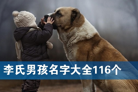 李氏男孩名字大全116个