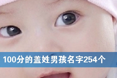 100分的盖姓男孩名字254个
