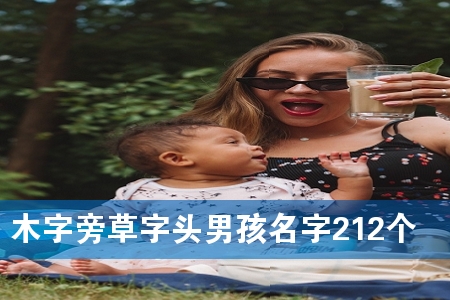 木字旁草字头男孩名字212个