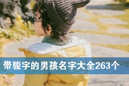 带骏字的男孩名字大全263个