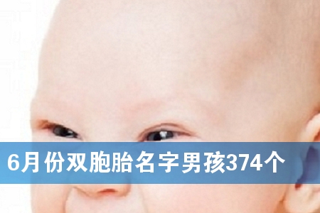 6月份双胞胎名字男孩374个