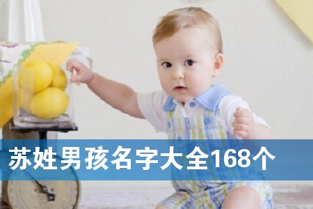 苏姓男孩名字大全168个