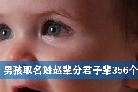 男孩取名姓赵辈分君子辈356个