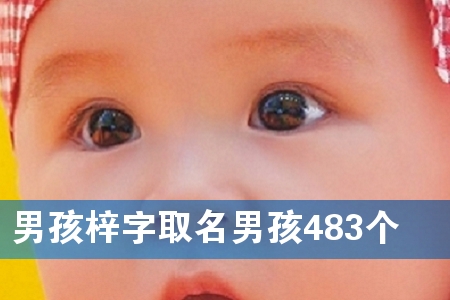 男孩梓字取名男孩483个
